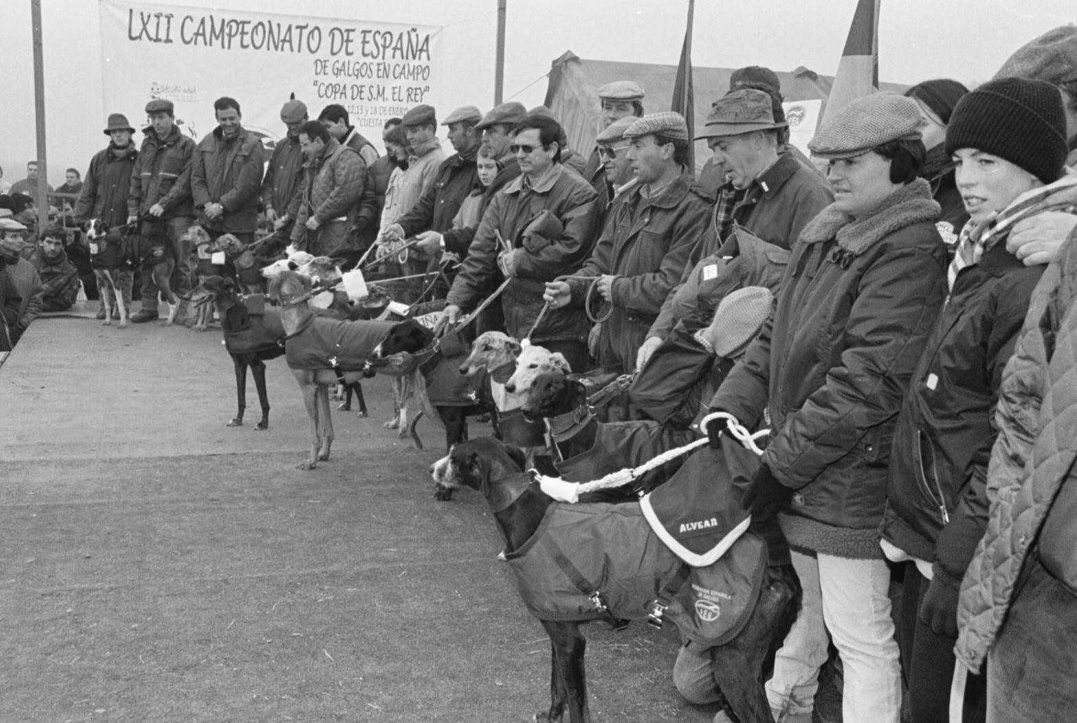 Galgos participantes en el Campeonato de España celebrado el 8 de enero de 2000.