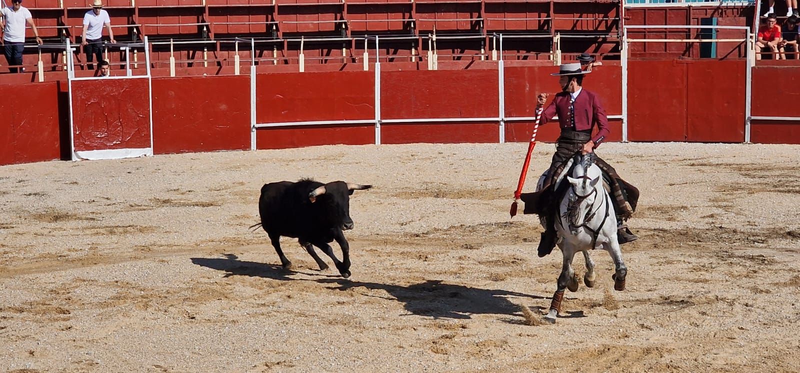 Festival taurino en Guardo