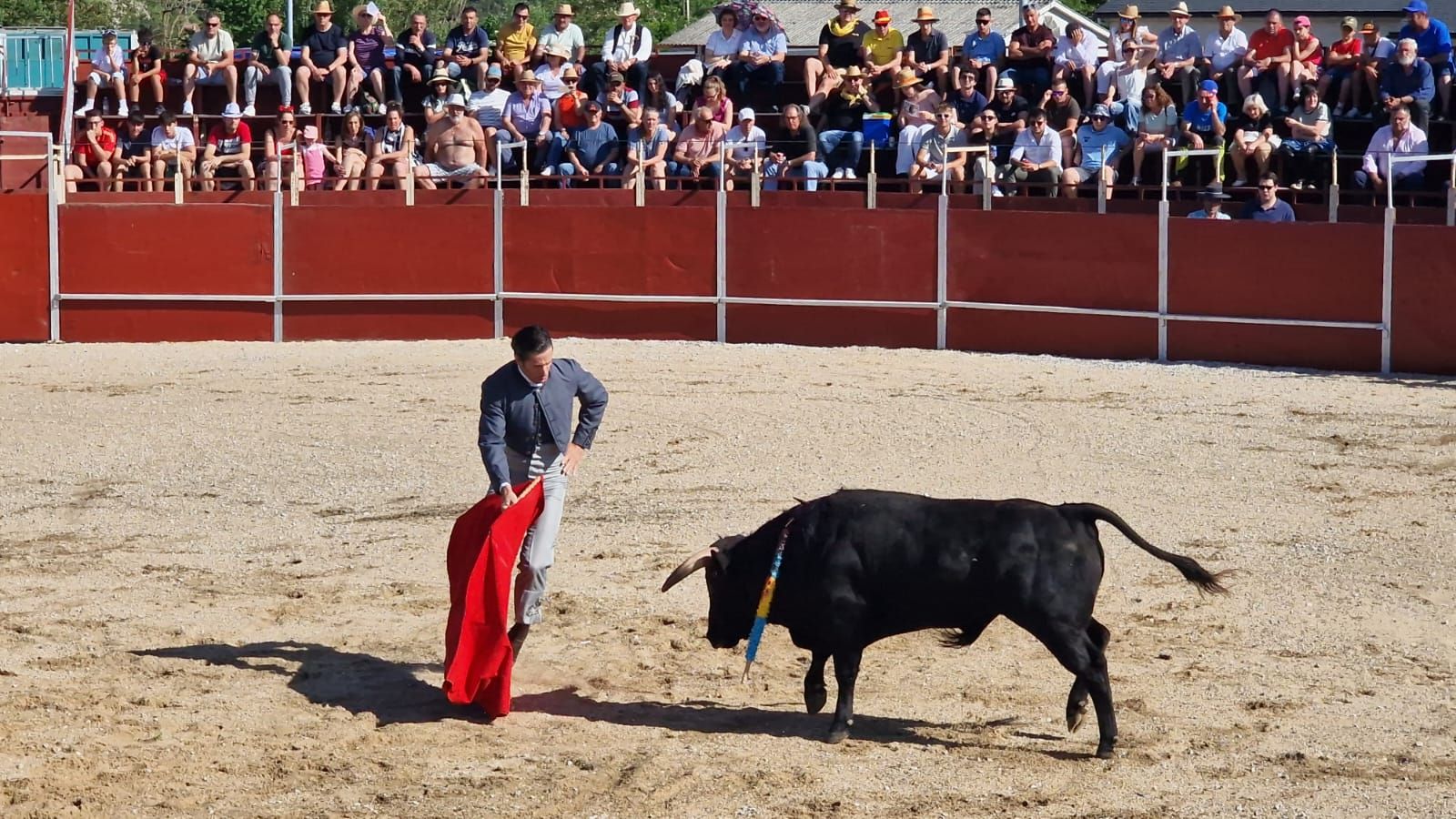 Festival taurino en Guardo
