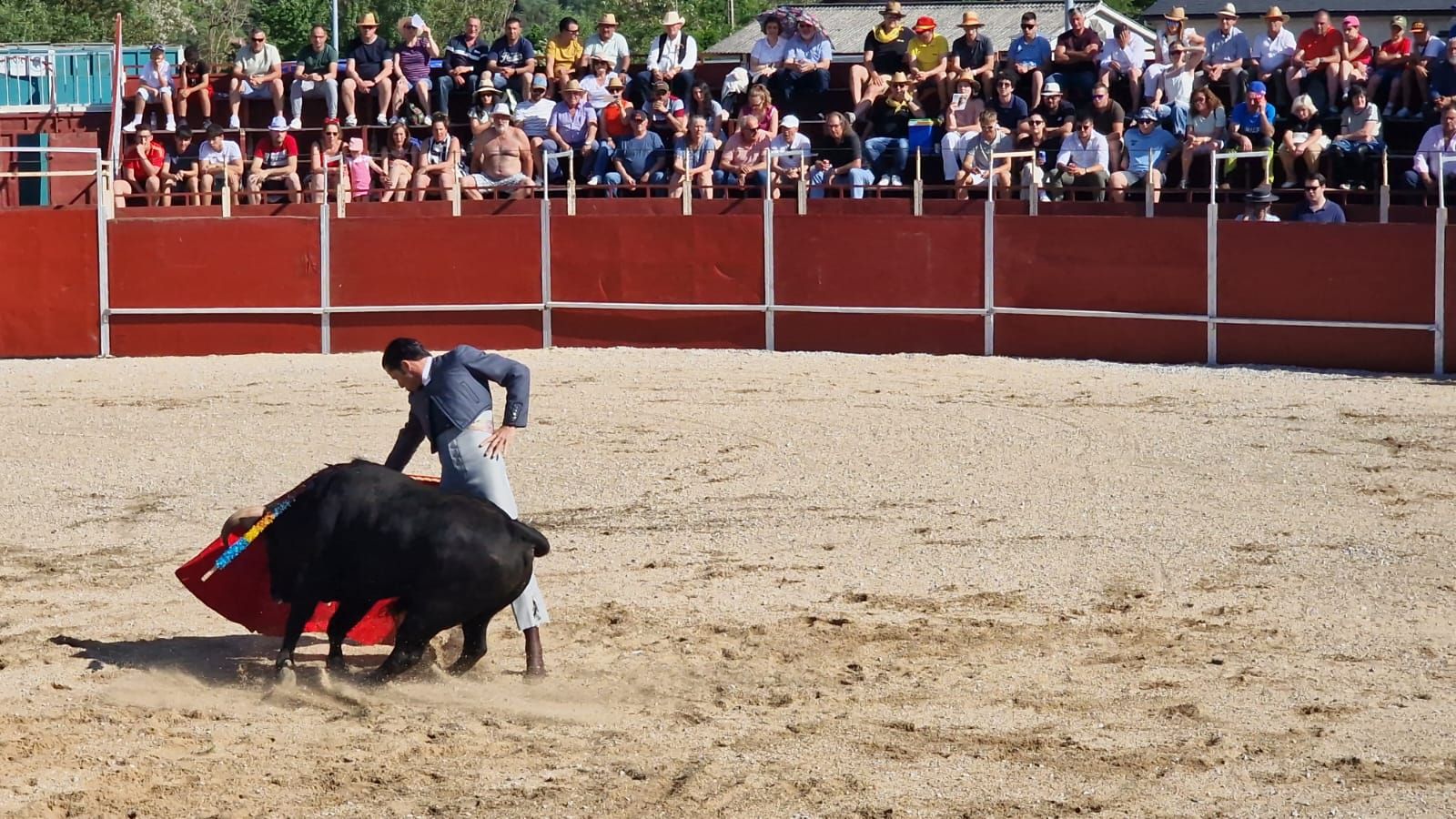 Festival taurino en Guardo