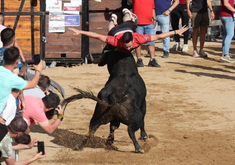 Antonio Torrecilla, en el salto en el que 'Carterista' le corneó.