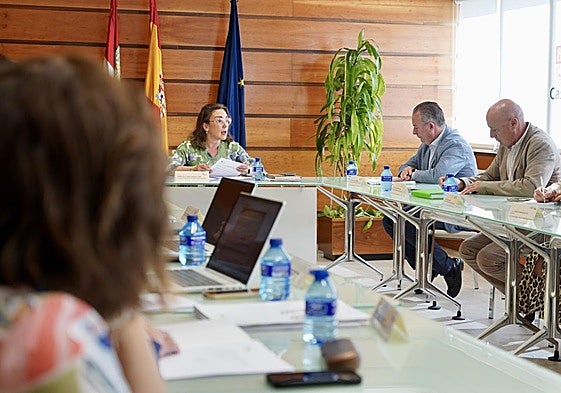 La consejera de Agricultura, Ganadería y Desarrollo Rural, María González Corral, informa al Consejo Agrario de las actuaciones de la Junta ante la decisión de Azucarera.