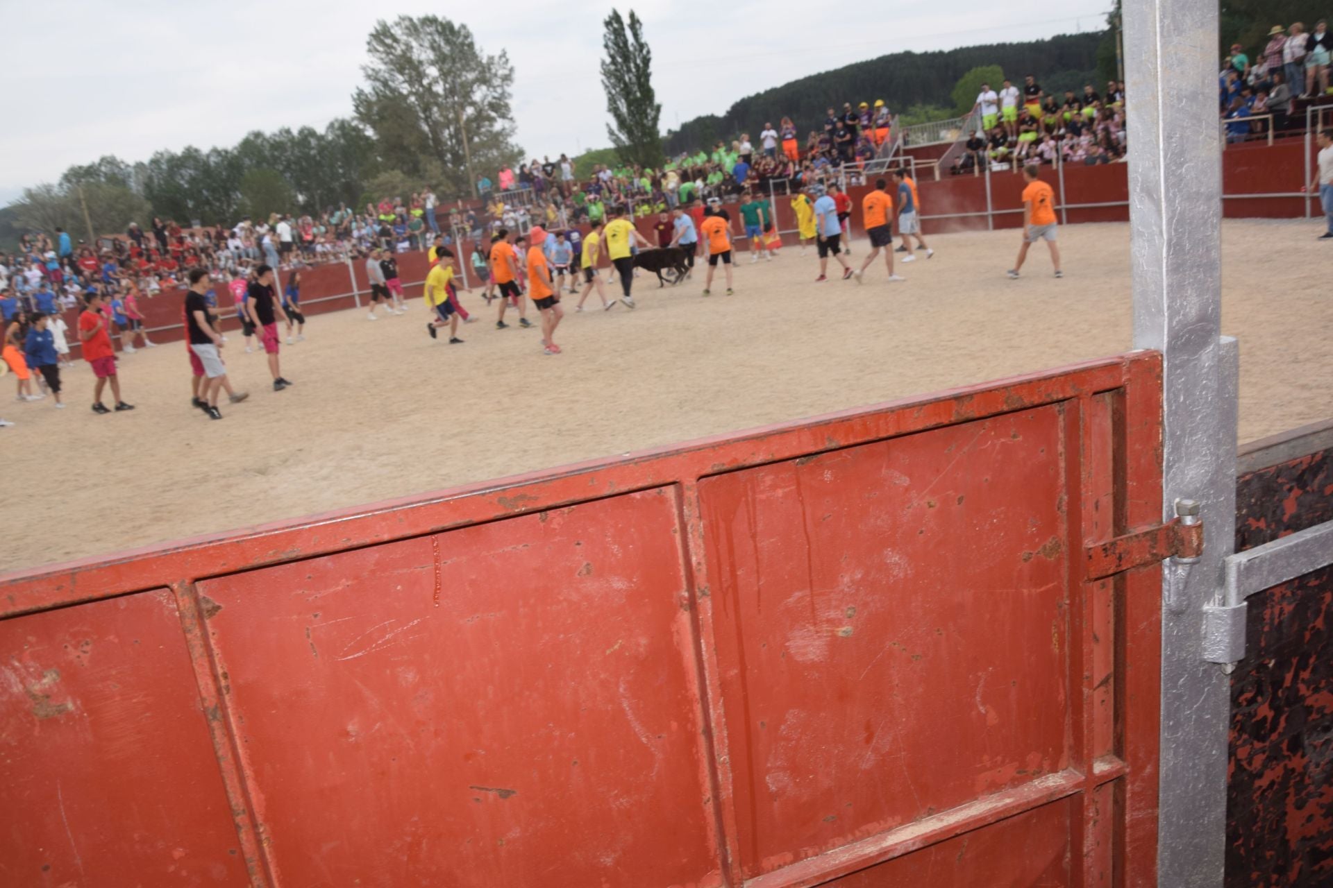 Festival taurino en Guardo