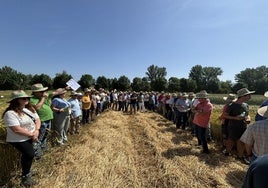Agricultores visitan los campos de ensayo de Asaja en la provincia de Soria.