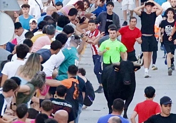 El Toro de las Peñas, que corneó al menor en Zaratán.