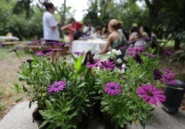 La fiesta de fin de curso de este área del Clínico se celebró en el Jardín Terapeutico del Edificio Roncilla
