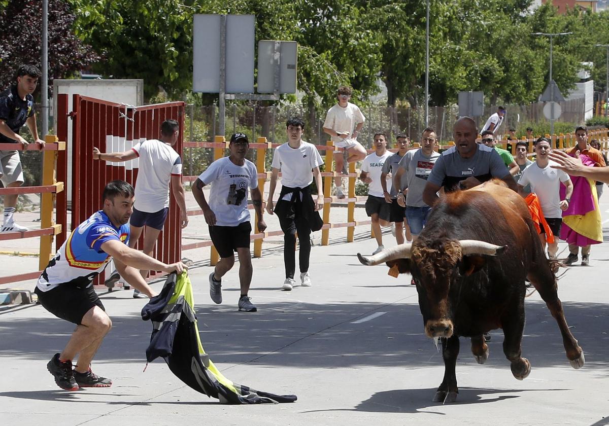 Encierro del Corpus, esta mañana en Zaratán.