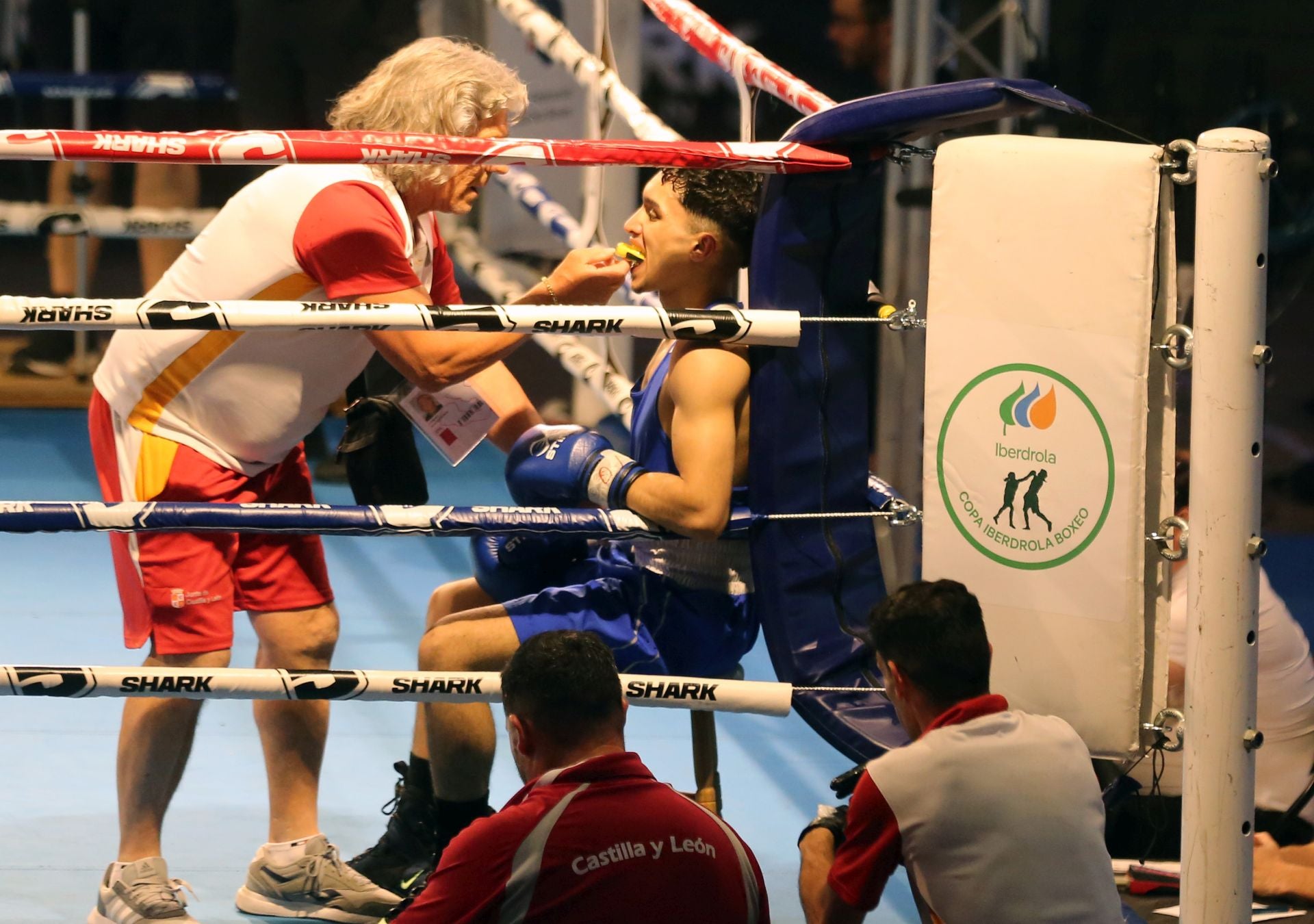 Fotos del campeonato de boxeo en Segovia