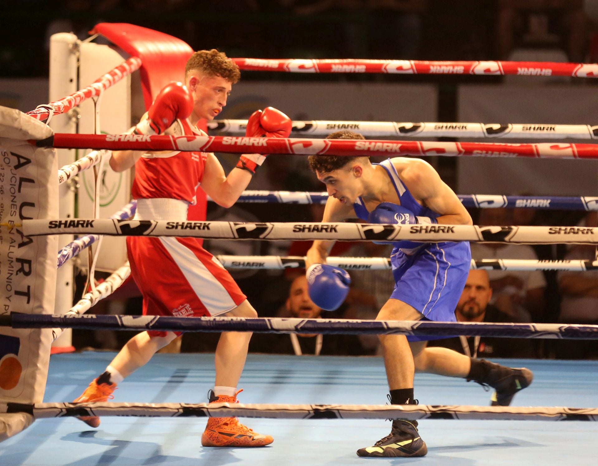 Fotos del campeonato de boxeo en Segovia