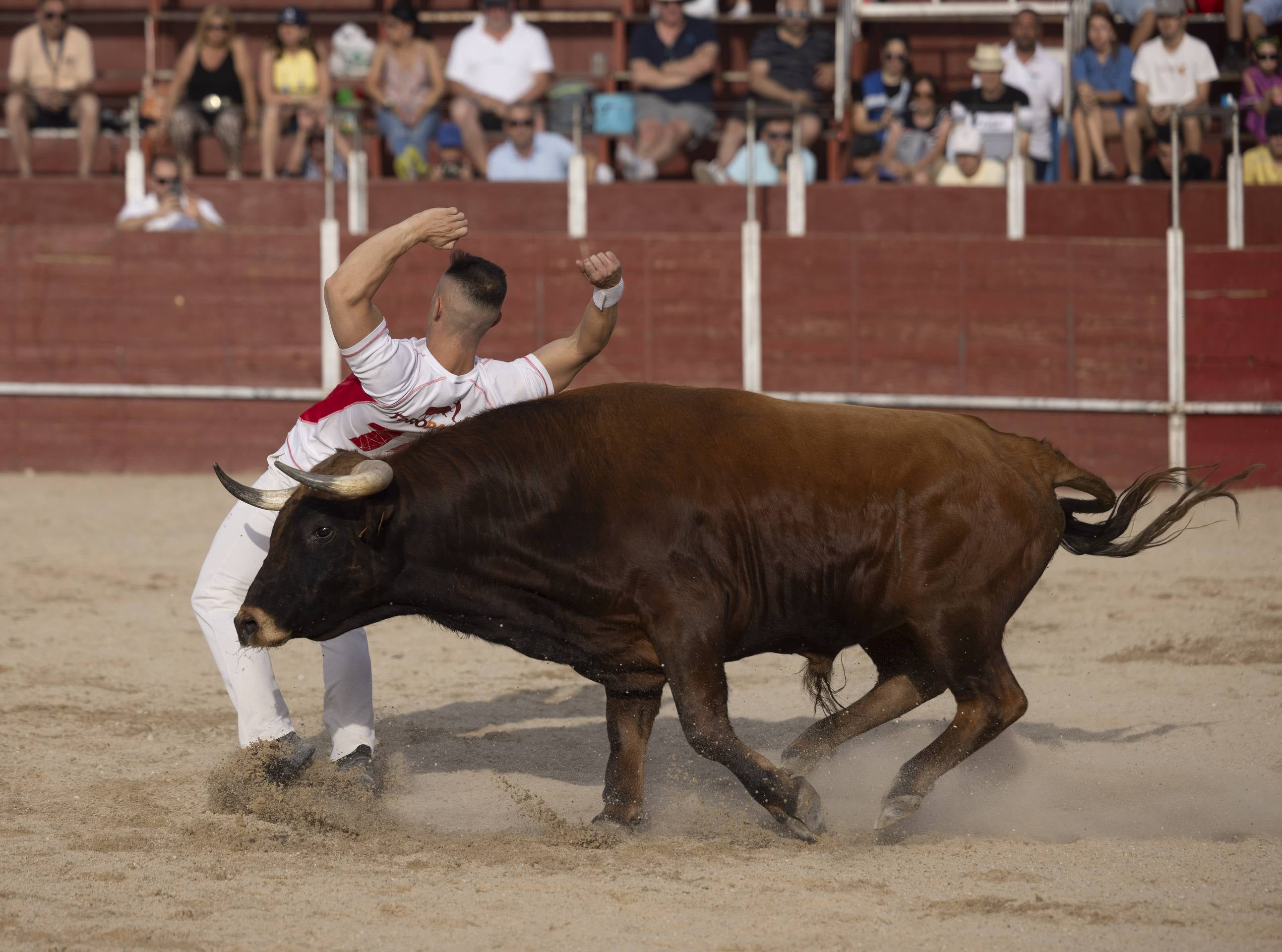 Las imágenes de la Liga del Corte Puro en Zaratán