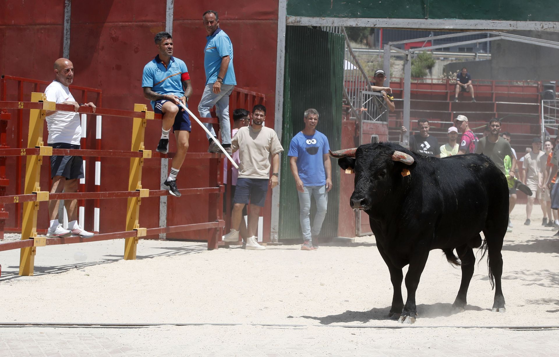 Encierro en Zaratán el día del Corpus