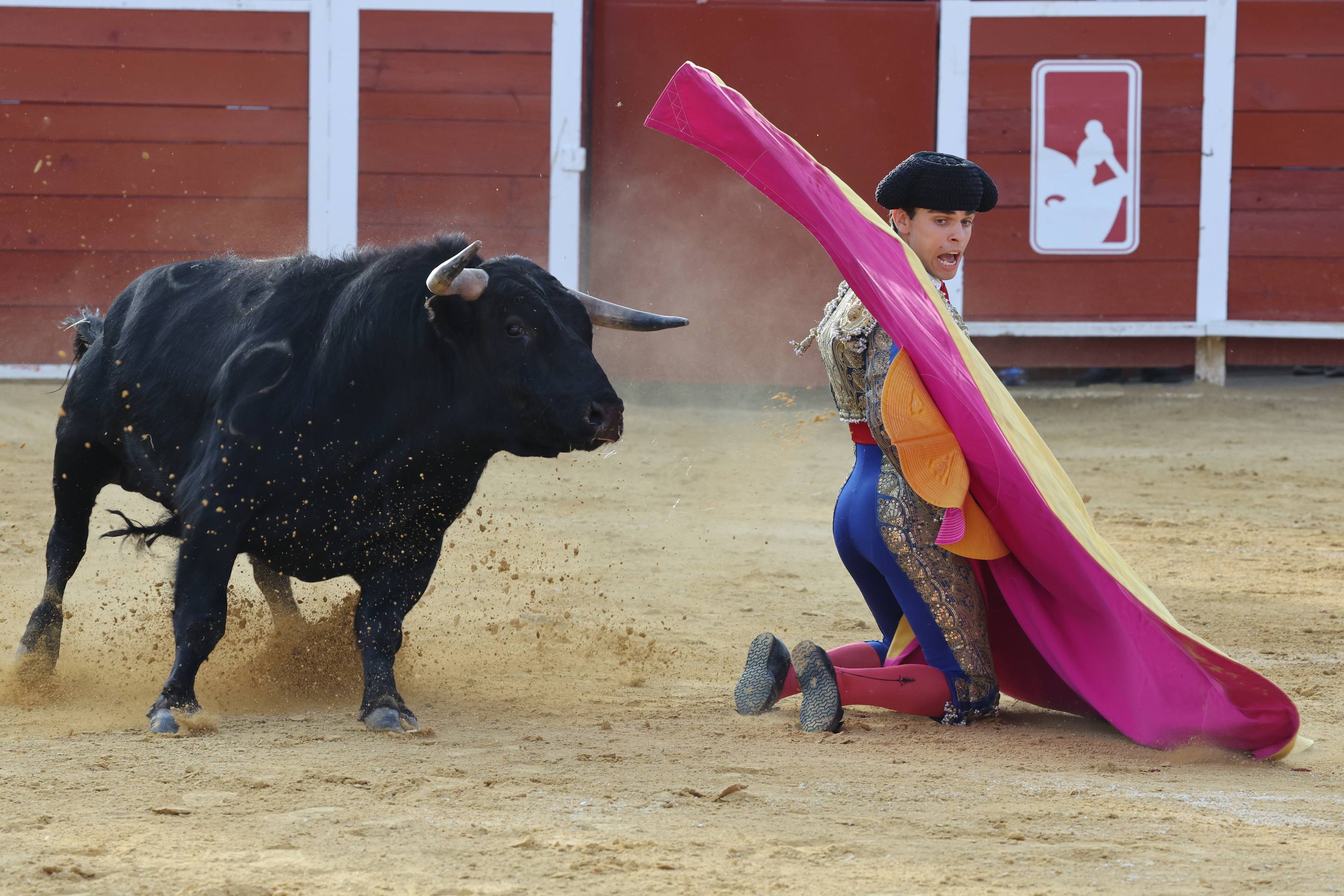 La novillada en Nava del Rey, en imágenes