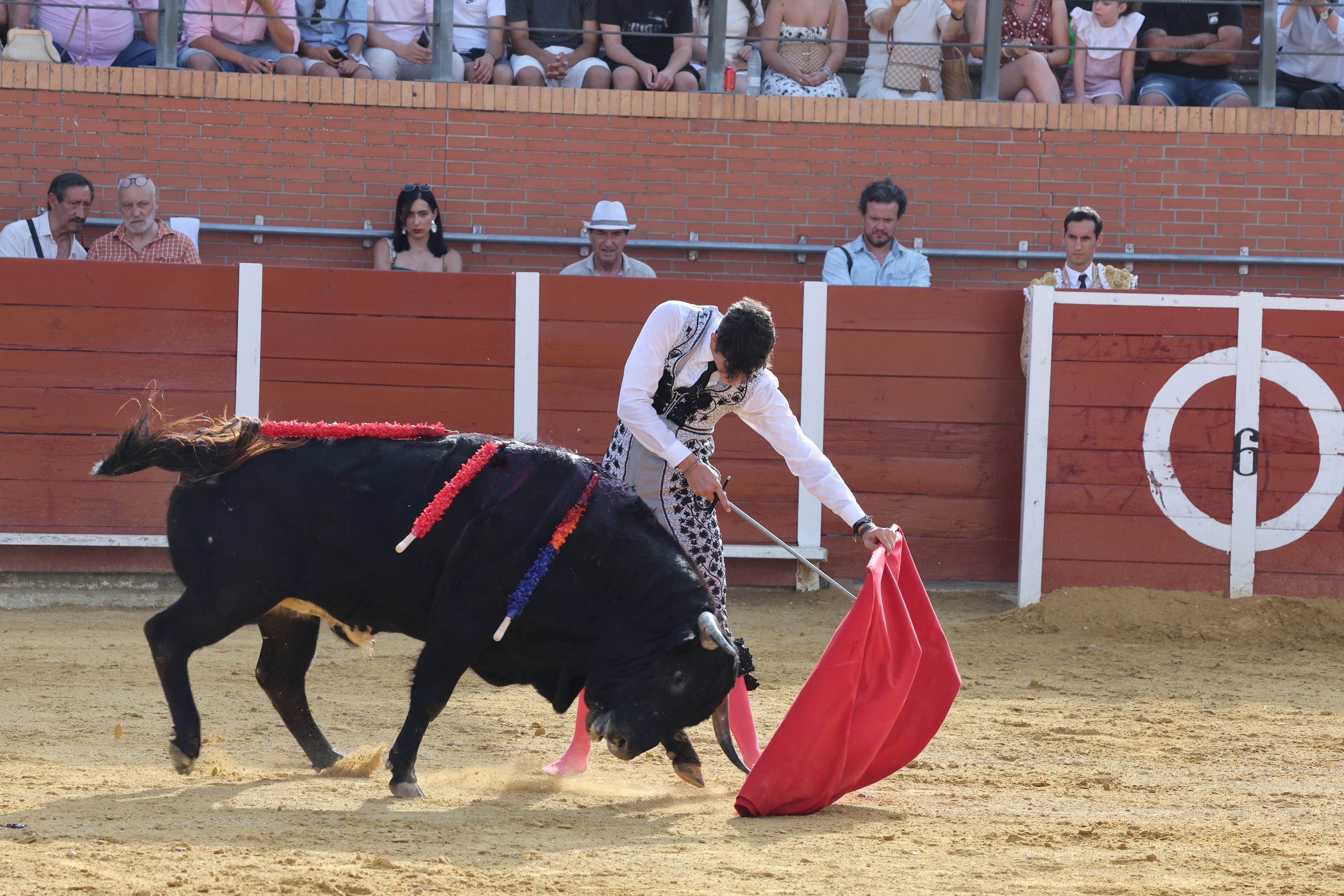 La novillada en Nava del Rey, en imágenes