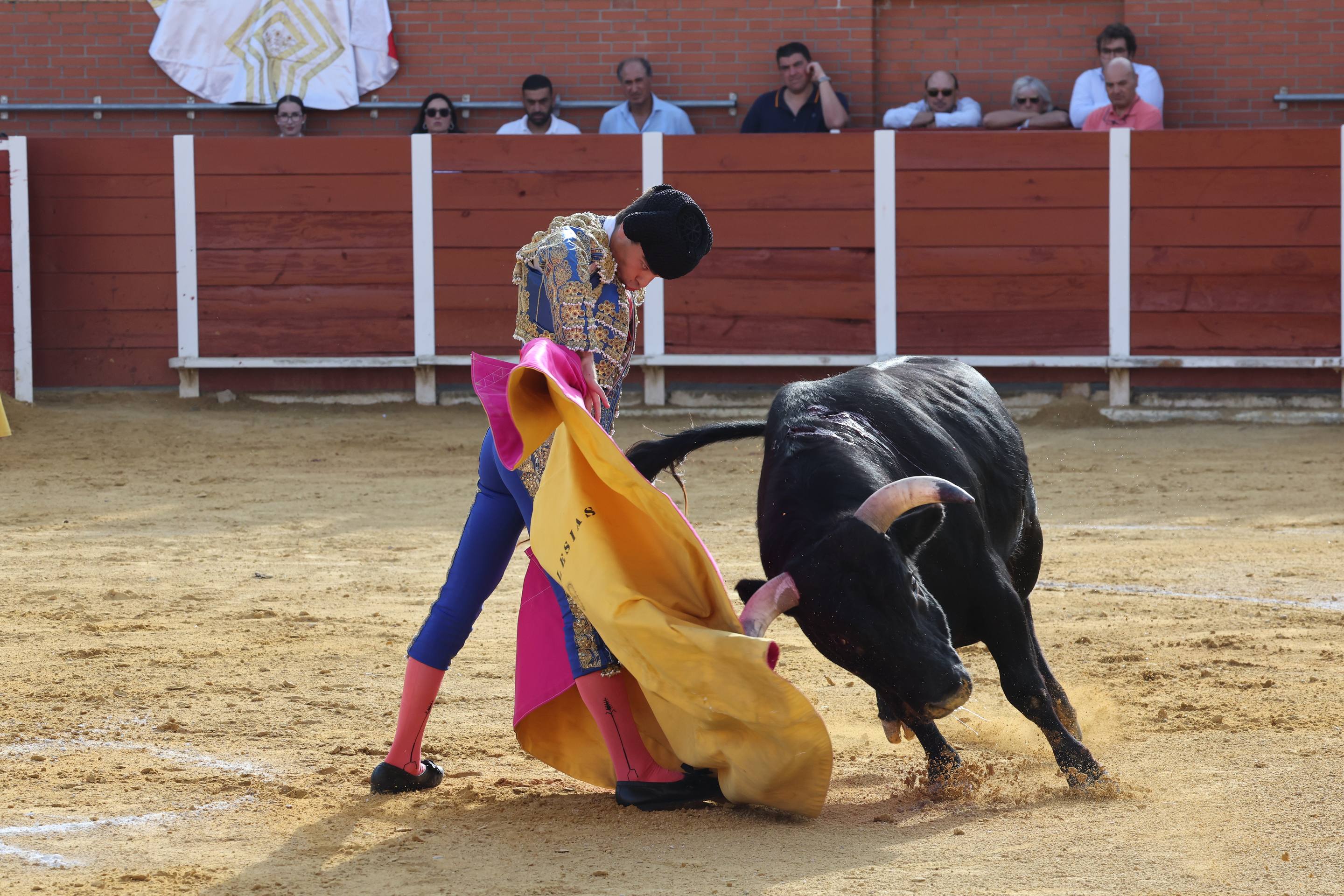 La novillada en Nava del Rey, en imágenes