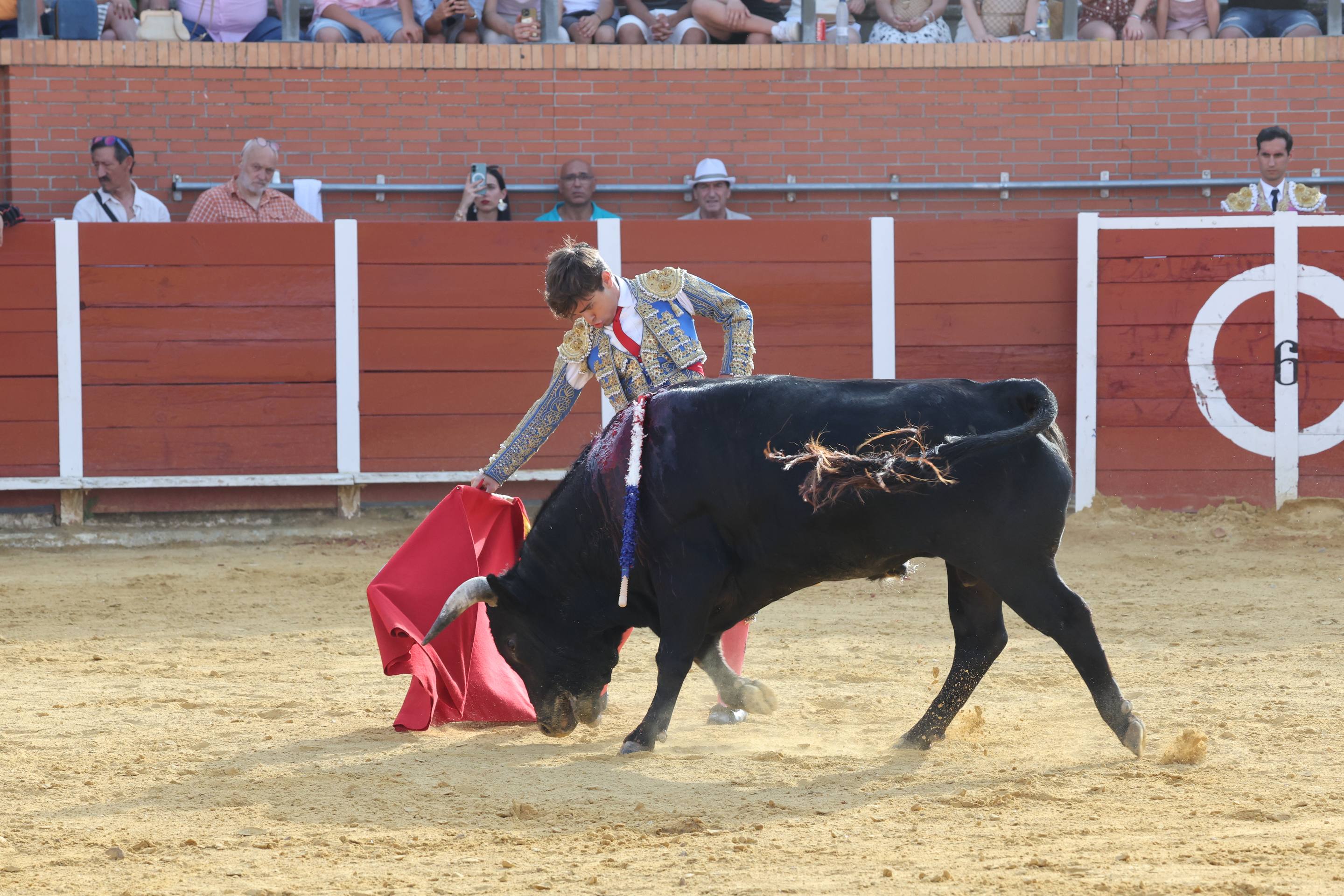 La novillada en Nava del Rey, en imágenes