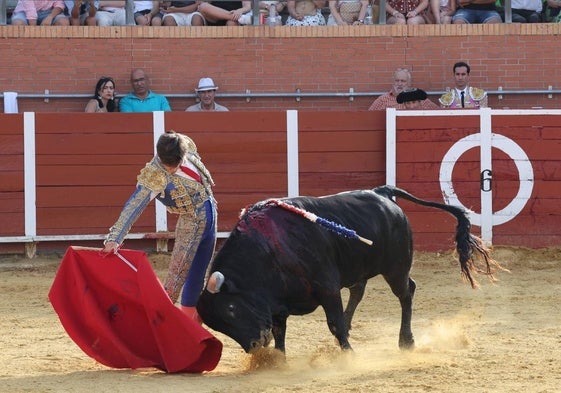 Imágenes de la novillada celebrada este sábado en el coso de Nava del Rey