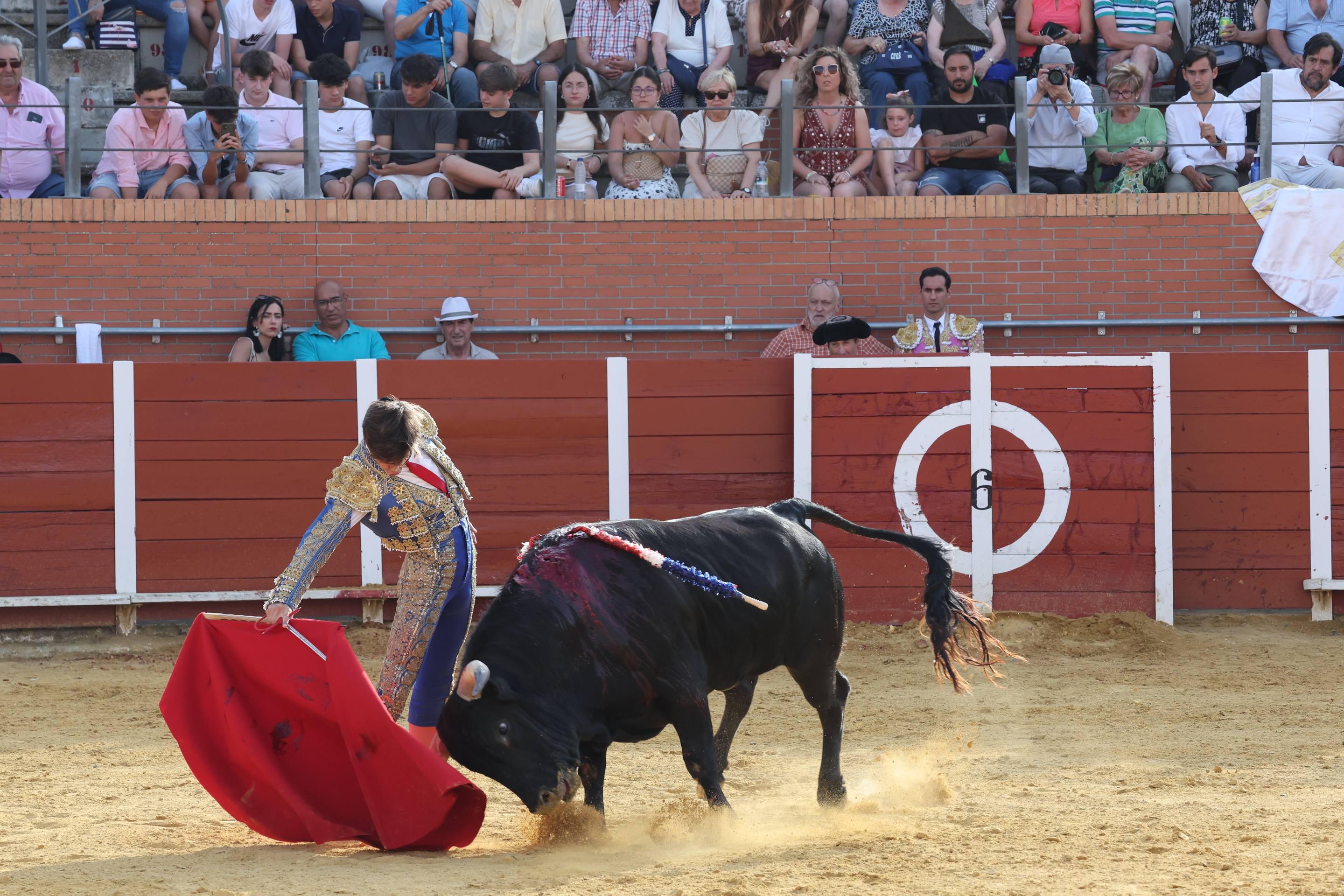 La novillada en Nava del Rey, en imágenes