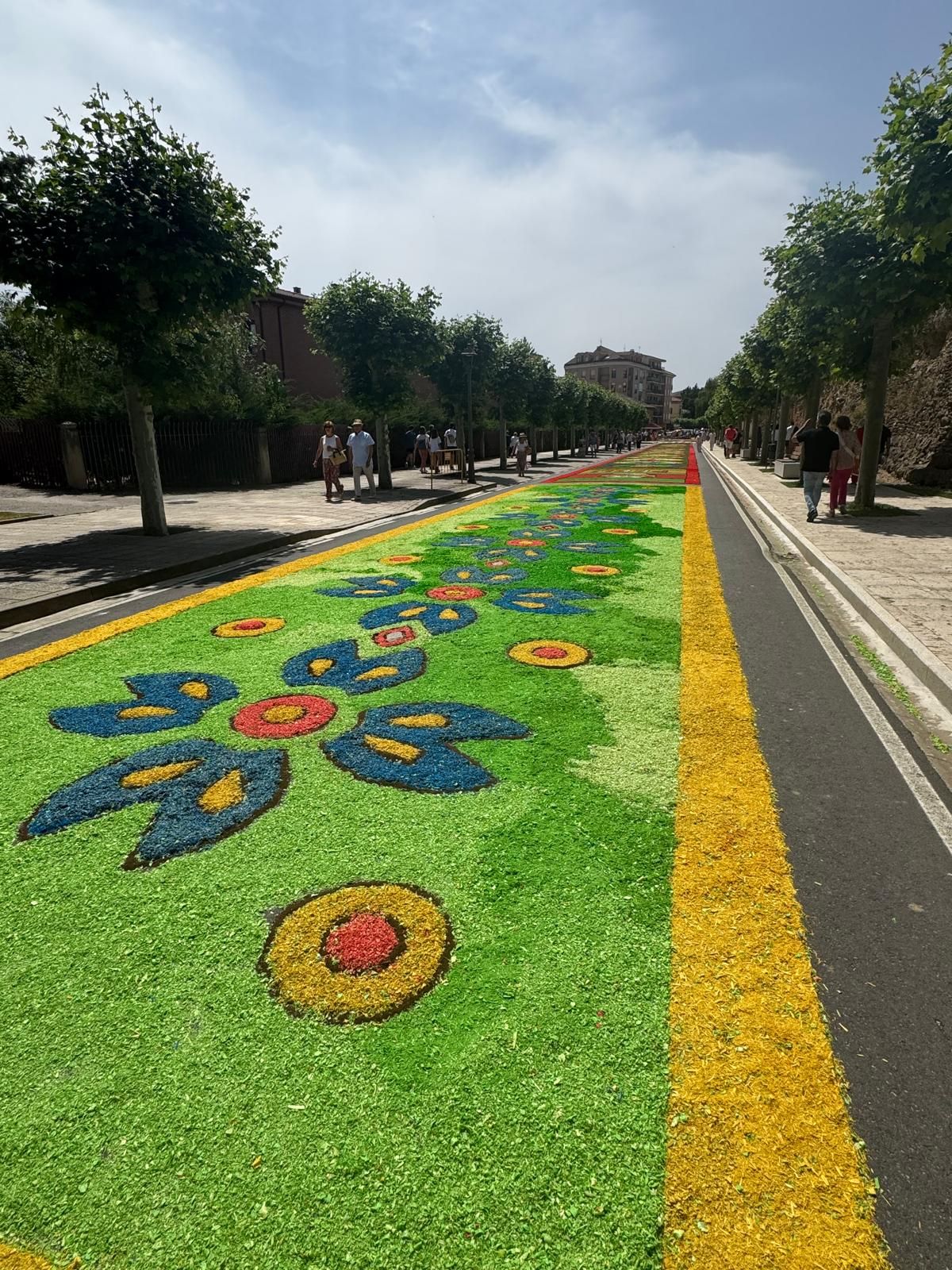 Así han sido las alfombras florales de Carrión en el Corpus