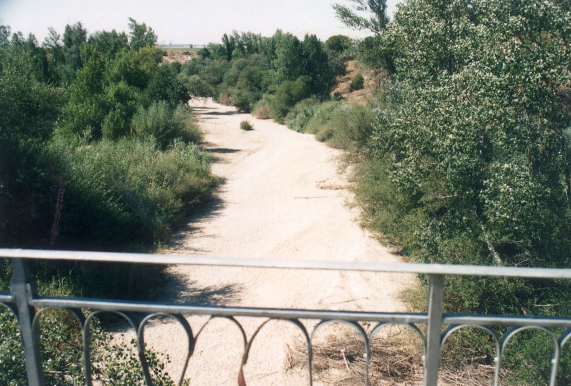 Río Adaja, a su paso por los términos de Matapozuelos y Valdestillas.