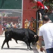 Encierro del Corpus en Zaratán.