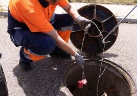 Equipo municipal de control de plagas.