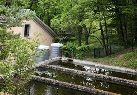 Piscifactoría de truchas del Real Sitio de San Ildefonso.