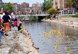 La carrera de patos de goma celebrada a orillas del río Esgueva en 2010.