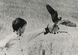 Una escena de 'Kes', de Ken Loach.