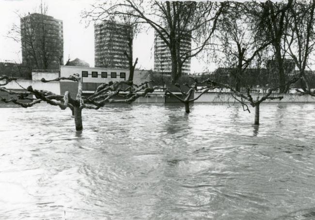Crecida de el río Pisuerga en Las Moreras y el Puente Mayor.