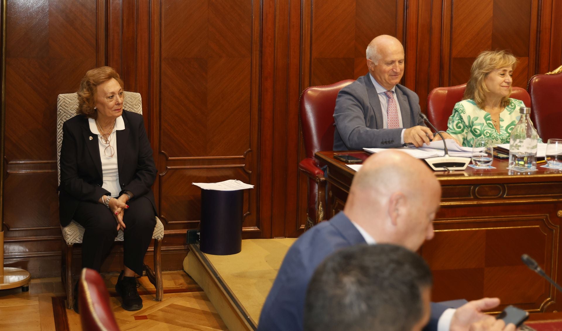 El último pleno de Araceli Villegas en la Diputación de Palencia