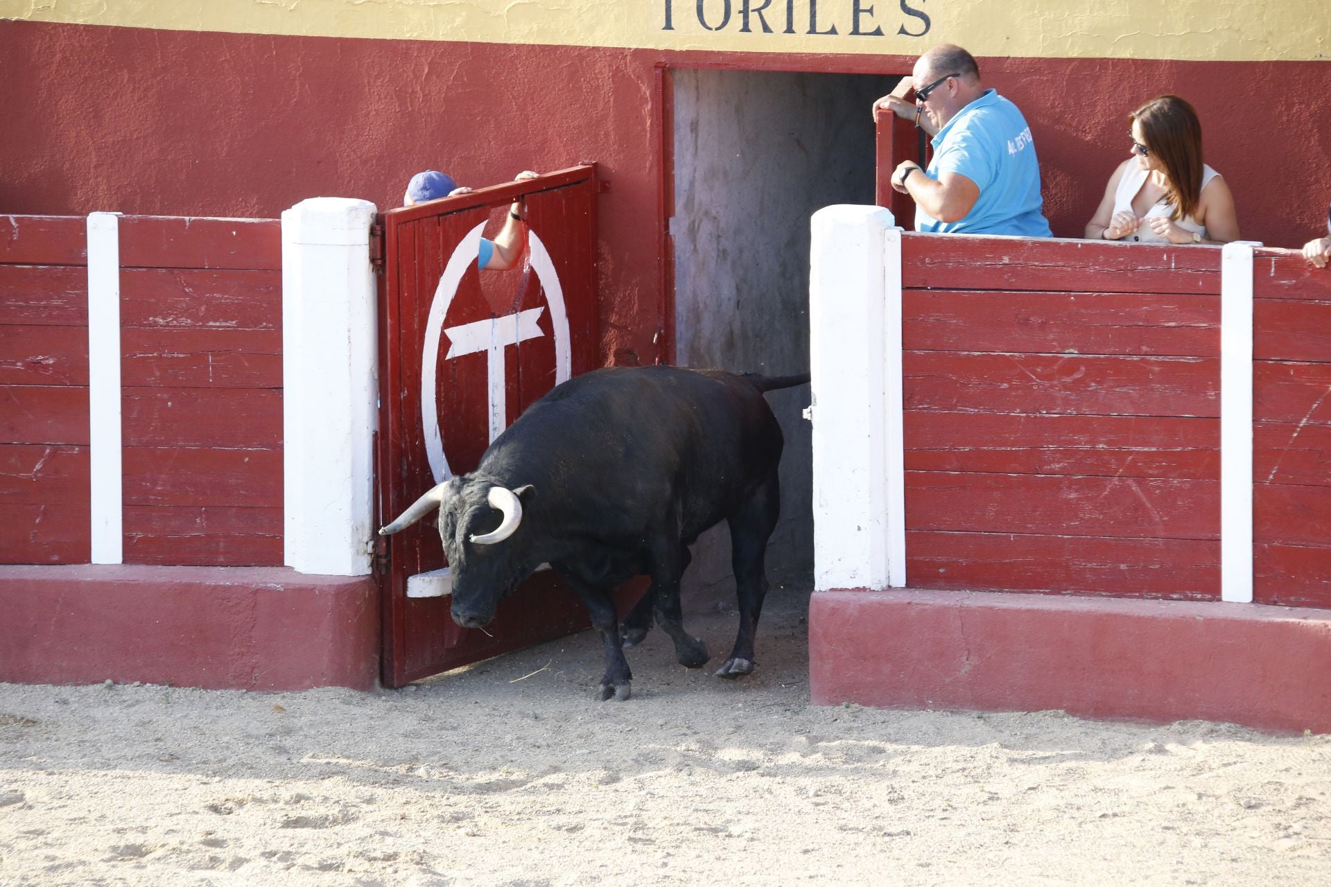 Las imágenes del encierro en Fresno el Viejo