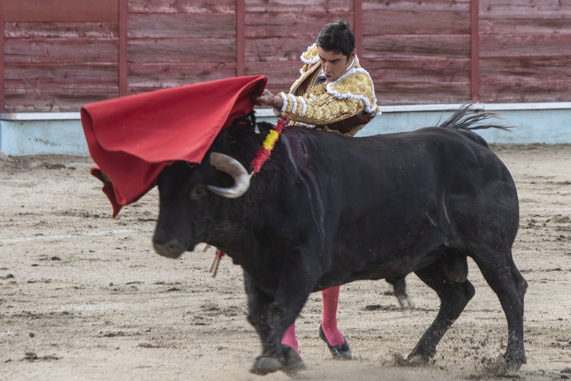 Fotos de la corrida de toros de Segovia