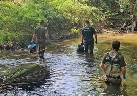 Agentes medioambientales de la Junta de Castilla y León recorren el tramo del Eresma en Segovia tras un caso de mortandad de peces por vertidos.
