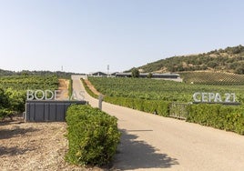 Entrada a las Bodegas Cepa 21.
