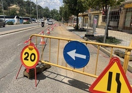 Tramo en obras en el paseo Ezequiel González.