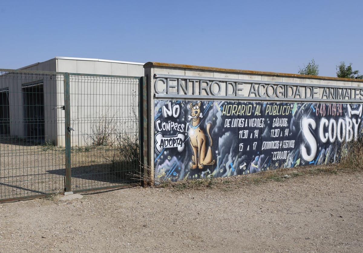 Instalaciones del centro de acogida de animales de Palencia, todavía con el logotipo de Scooby.