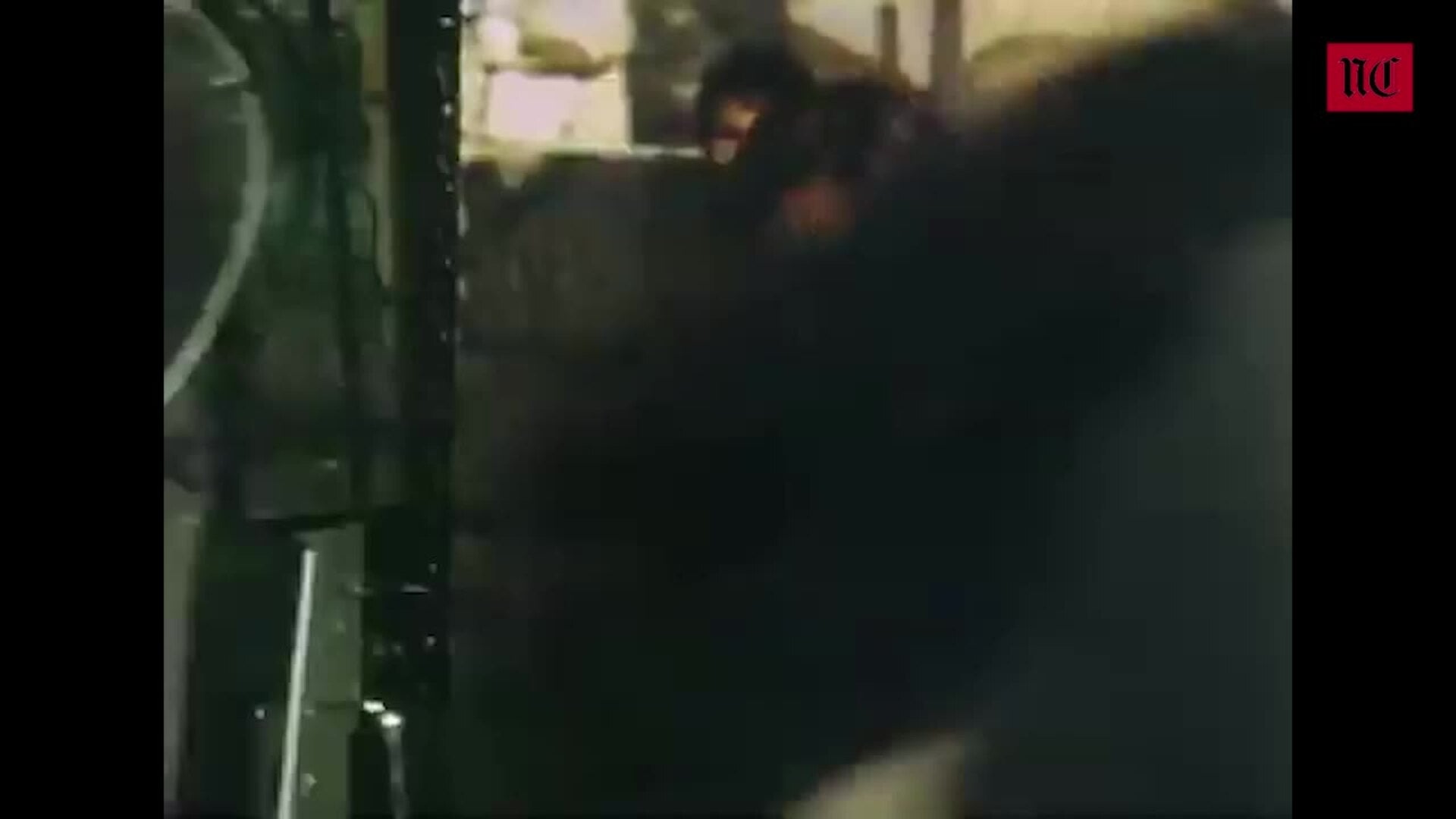 Jesucristo en Todd-AO