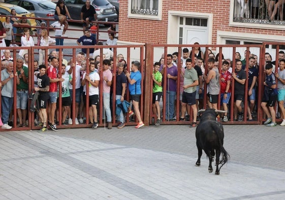 Participantes, a resguardo ante la presencia del toro.