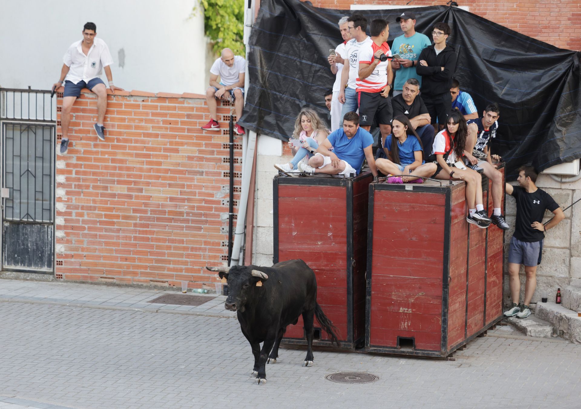 El Toro del cajón de Traspinedo, en imágenes
