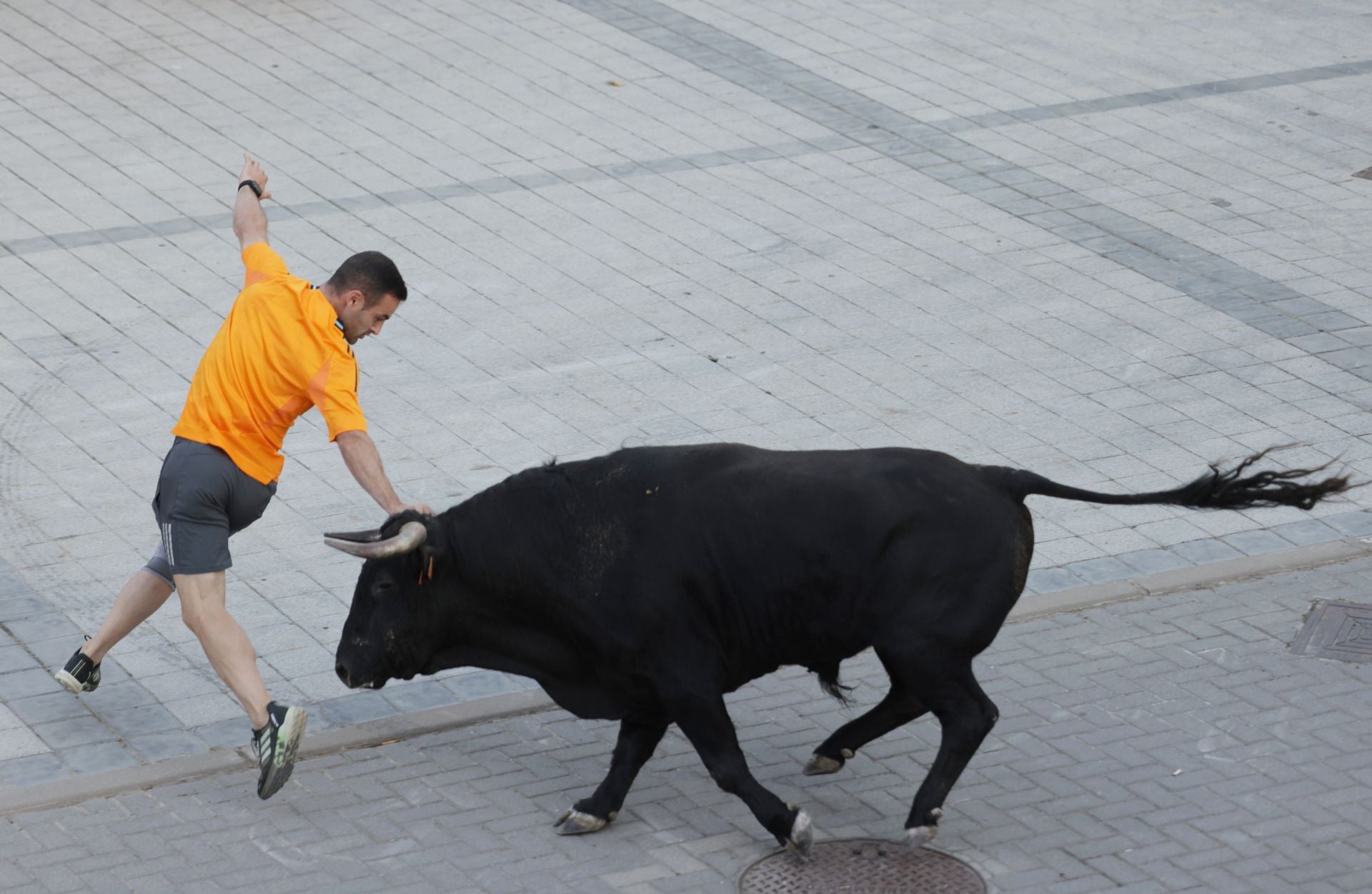 El Toro del cajón de Traspinedo, en imágenes