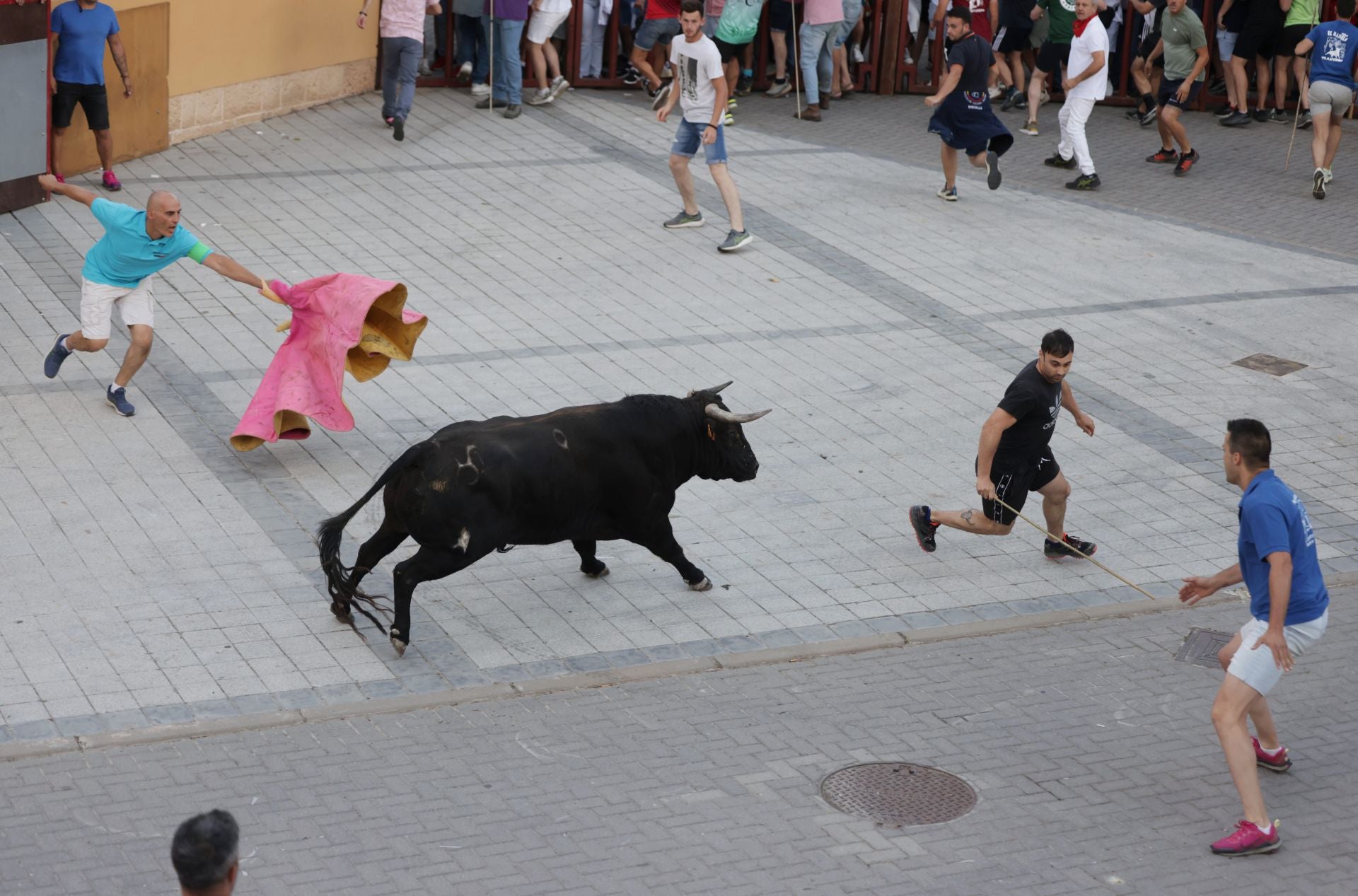El Toro del cajón de Traspinedo, en imágenes