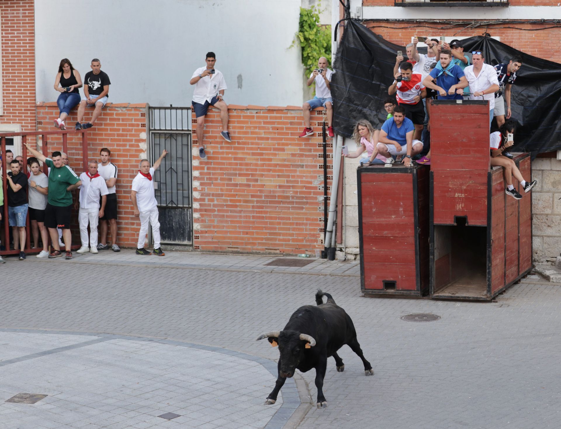 El Toro del cajón de Traspinedo, en imágenes