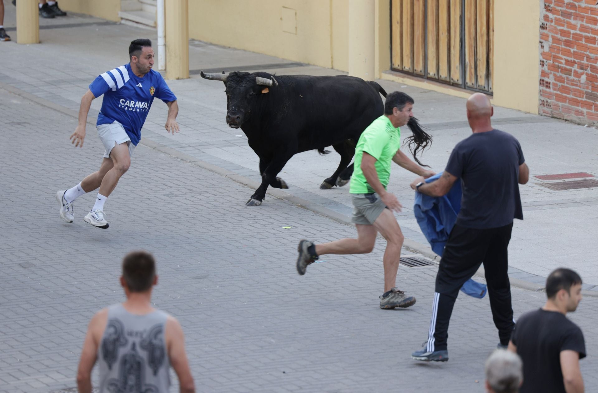 El Toro del cajón de Traspinedo, en imágenes