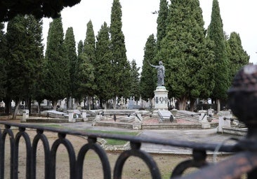 Un rayo incendia un ciprés en el cementerio del Carmen de Valladolid