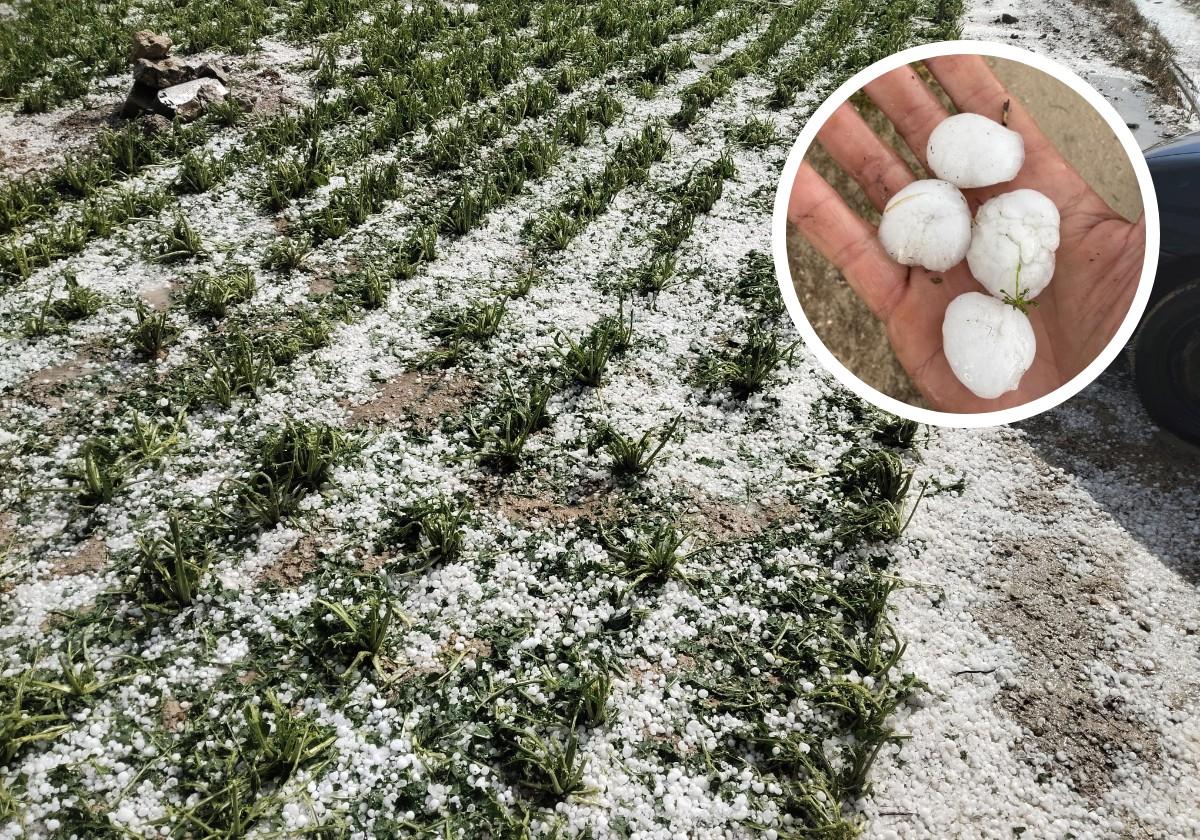Castroverde de Cerrato pide ser declarada zona catastrófica tras la granizada: «Fueron 20 minutos de desastre»
