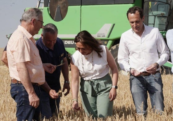 La consejera de Agricultura, Ganadería y Desarrollo Rural, María González Corral, presenta la cosecha de cereales de invierno de la campaña 2024-2025.