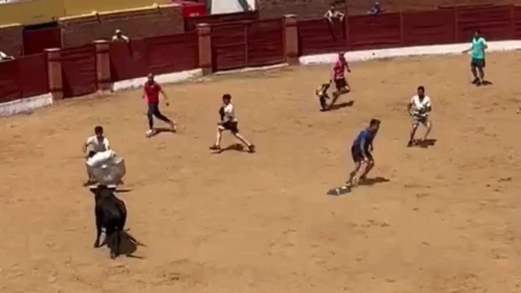 La cogida del cortador Chuvas