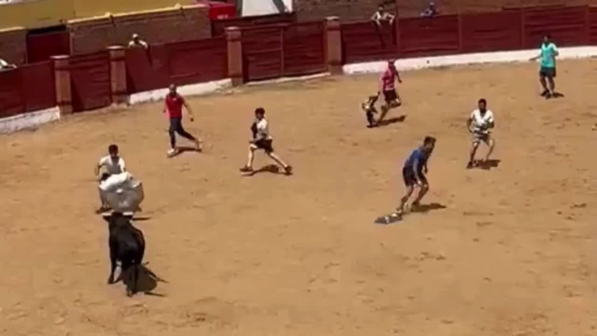 La cogida del cortador Chuvas