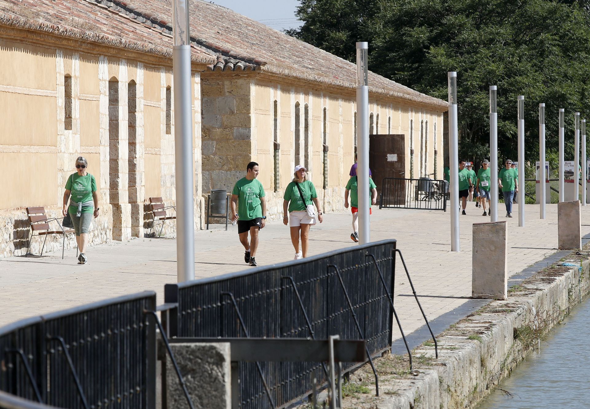 Rioseco y la comarca recuerdan que a más investigación más vida