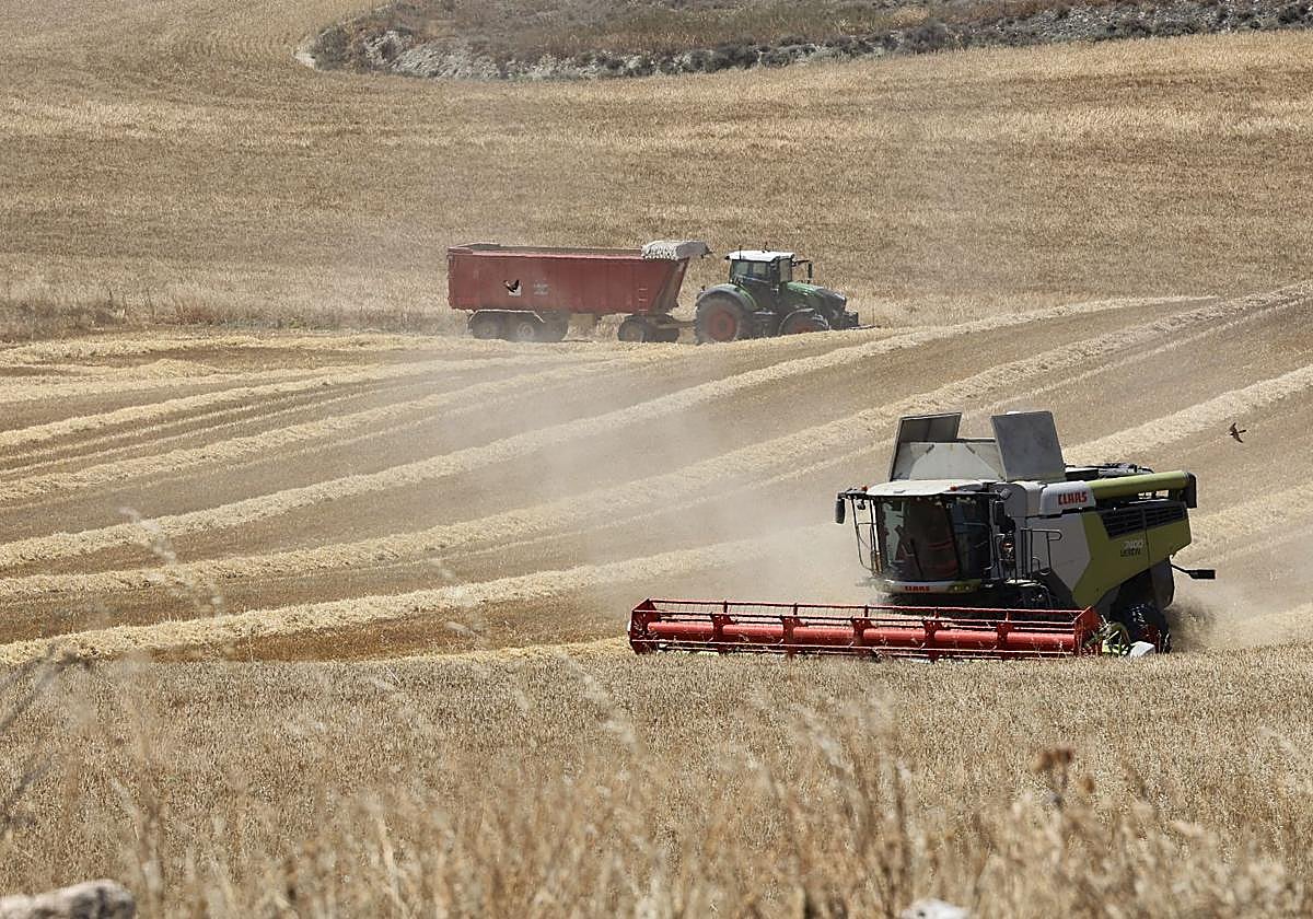 Los agricultores trabajan un campo en Autilla del Pino.